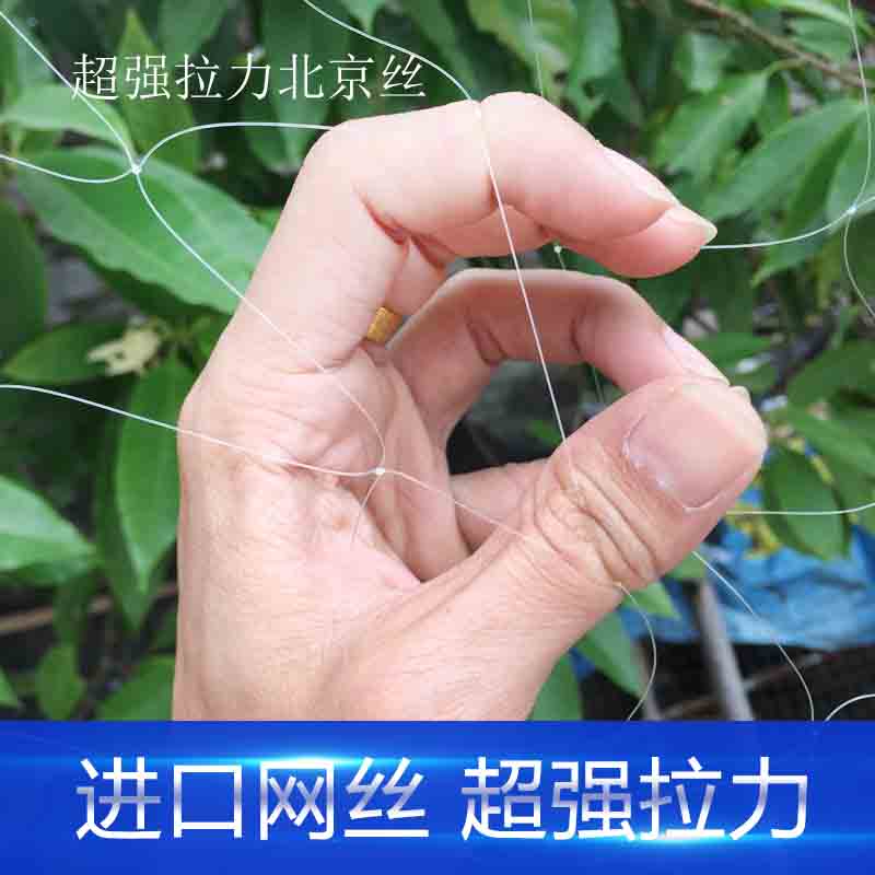 单层渔网进口北京粘网粗丝黄丝沉网捕鱼拉网挂网水库海网沾网包邮 - 图1