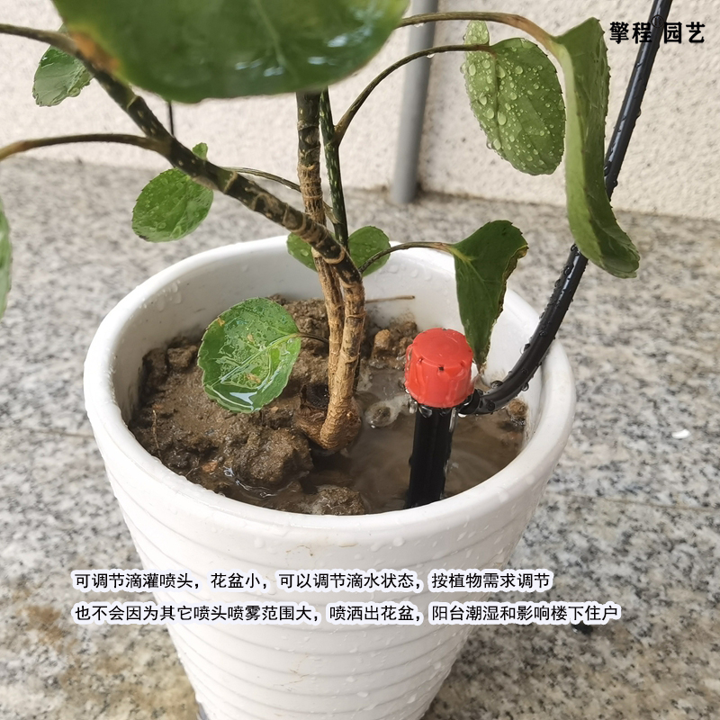 可调节喷淋洒水地插杆阳台花盆滴水滴灌喷头自动浇花器微喷淋喷头-图0