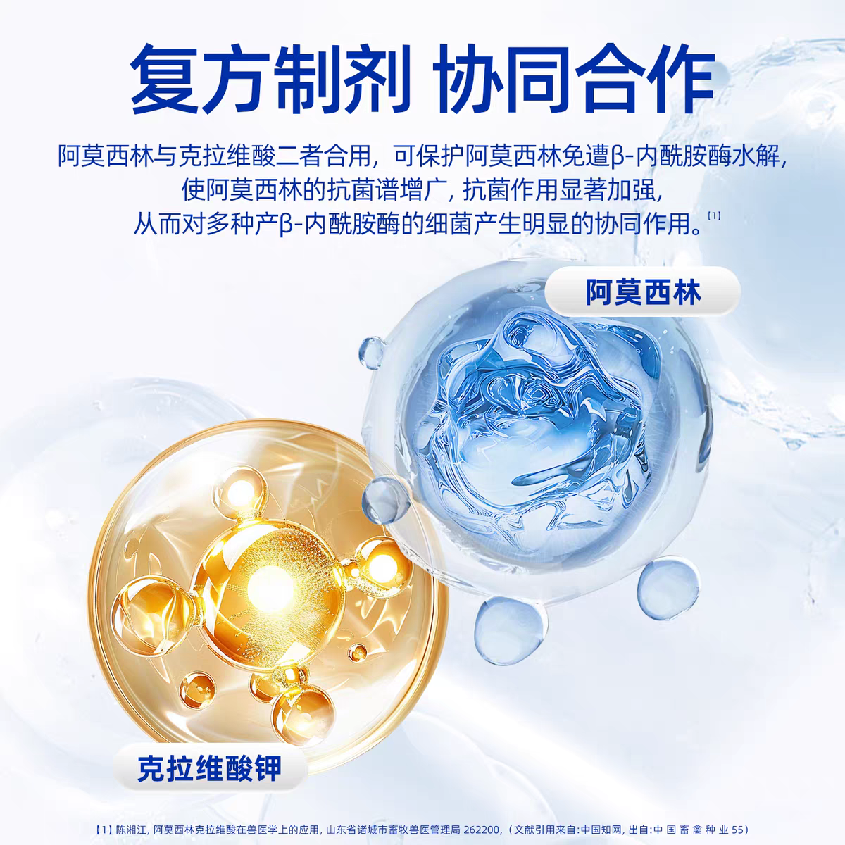 消炎片猫阿莫西林克拉维酸钾片感冒药宠物狗狗猫鼻支咳嗽速发炎诺,淘宝优惠券,粉丝福利购,淘宝优惠卷