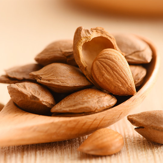 Xinjiang specialty creamy bulk ginkgo