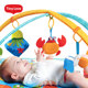 TinyLove婴儿健身架新生儿礼物宝宝躺着玩具0-3-6个月音乐游戏毯