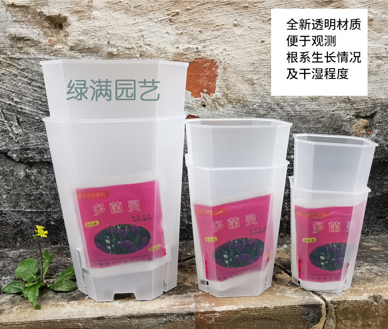 八角透气大小方盆育苗硬杯透明塑料扦插花盆多肉蝴蝶兰花观查根系