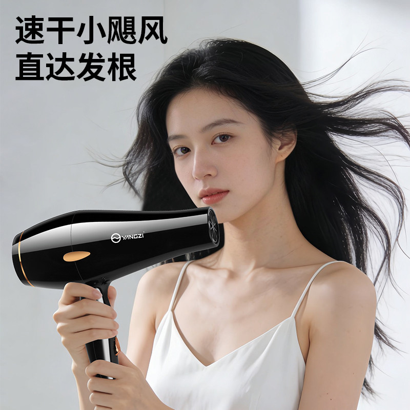 扬子吹风机高速蓝光水润护发NTC恒温电吹风低噪风大速干吹风筒,淘宝优惠券,粉丝福利购,淘宝优惠卷