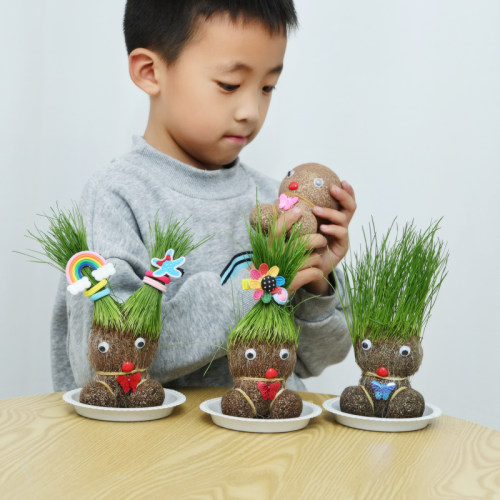 开花娃娃绿植种植花头草头娃娃头上长草植物儿童头发长花小盆栽 - 图1