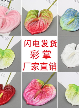花悦澜小鹅掌婚礼装饰红掌