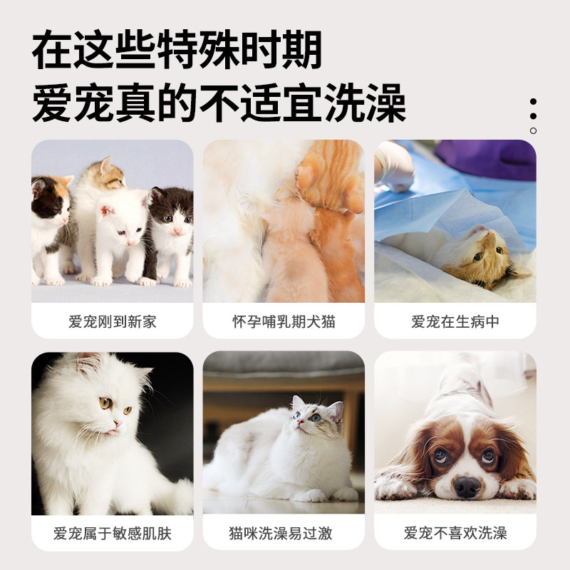 宠物免洗手套猫咪湿巾狗狗沐浴幼猫专用免洗澡湿巾纸干洗神器清洁,淘宝优惠券,粉丝福利购,淘宝优惠卷