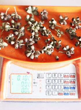 干花僵尸果桉树果风铃果相框冰箱贴花环手工干果diy材料