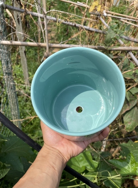海螺贝壳手绘多肉绿植创意陶瓷花盆有孔透气筷子桶陶瓷厨房收纳罐