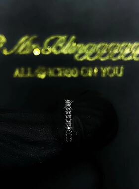 Mr.Blingggggg纯银单排钻耳夹