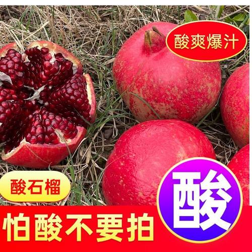 酸石榴10斤纯酸临潼石榴特大红籽孕妇水果新鲜包邮可药用泡酒 - 图2