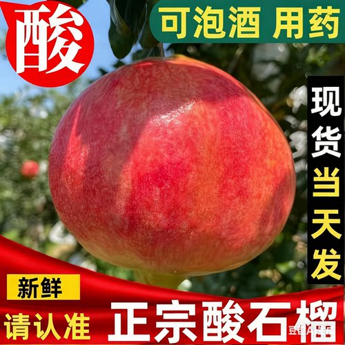 酸石榴10斤纯酸临潼石榴特大红籽孕妇水果新鲜包邮可药用泡酒 - 图1