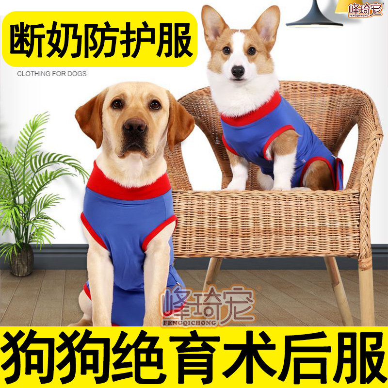 公狗手术衣 新人首单立减十元 21年8月 淘宝海外