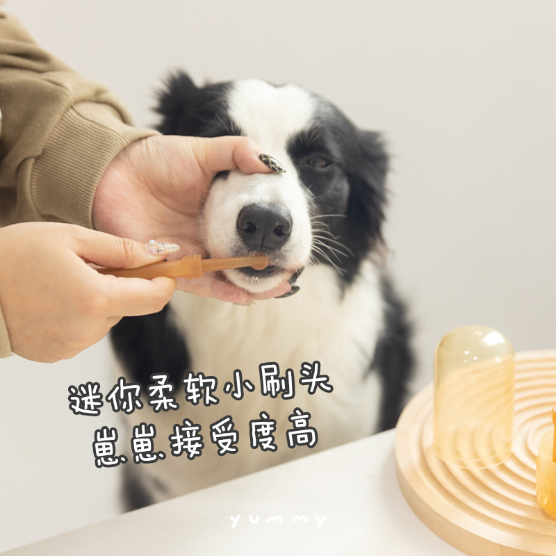 猫咪狗狗口腔清洁牙结石幼犬去除口臭刷牙神器硅胶牙刷清洁口腔神,淘宝优惠券,粉丝福利购,淘宝优惠卷