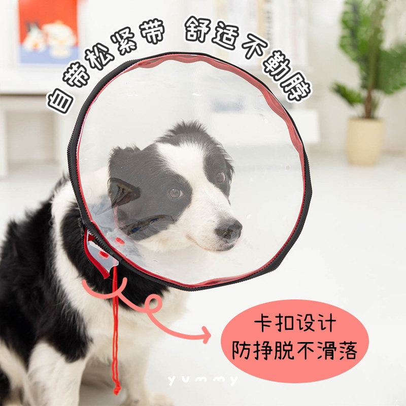 狗狗防毒头套封闭式防乱吃误舔食宠物猫狗专用嘴套雾化吸氧面罩箱,淘宝优惠券,粉丝福利购,淘宝优惠卷