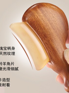 蜗牛萌宠造型多功能刮痧板