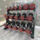 Red Label Studio Home Fitness Equipment Fixed Dumbbells