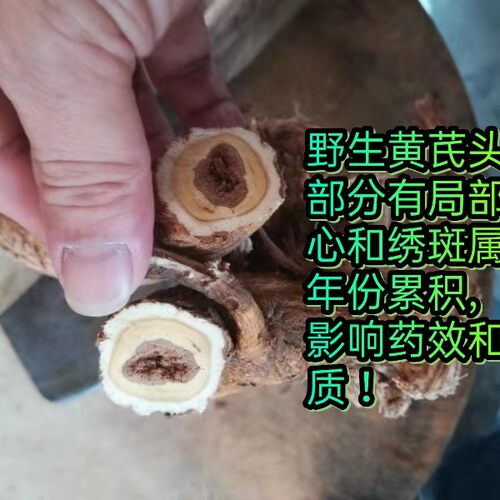 30年黄芪野生黄芪二根一斤2025北黄芪黄氏棉芪非正北芪黄芪500G - 图0