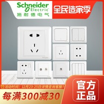 Schneider Switch Socket Panel Porous SKEW 23 INSERTS 5-HOLE SOCKET WITH USB 16a AIR CONDITIONING SOCKET