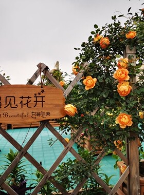 定制美丽庭院挂牌花园阳台木牌
