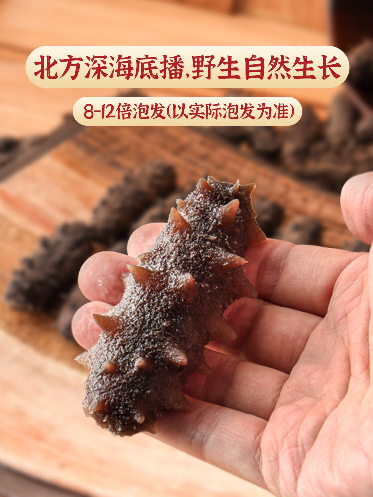 海滨小金淡半斤250g野生底播干海参 海滨小金旗舰海参