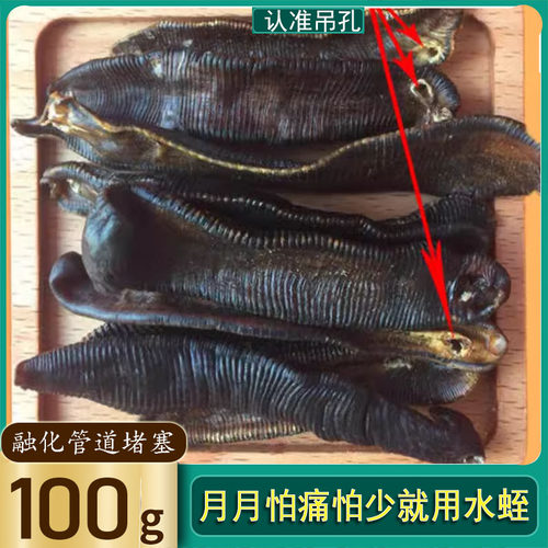 中药水蛭干中药材农产品100克生水蛭粉整条蚂蟥菲牛蛭金边水蛭干 - 图0