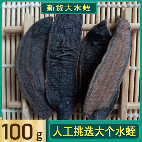 100克宽体水蛭干中药 中药材胶囊野生干水蛭蚂蟥金边菲牛蛭水蛭素 - 图1