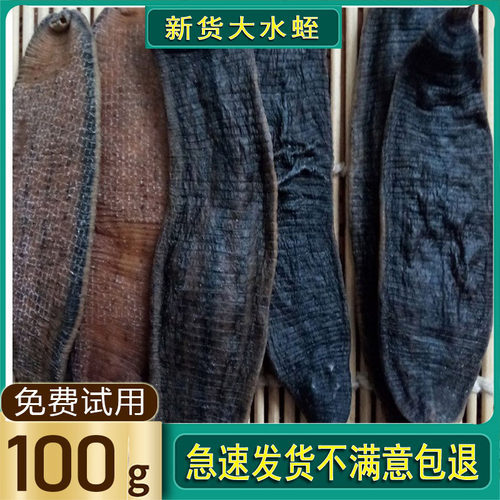 100克宽体水蛭干中药 中药材胶囊野生干水蛭蚂蟥金边菲牛蛭水蛭素 - 图0