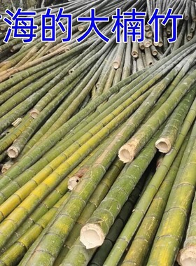 老竹扁担楠竹带绳子铁钩家用挑水建筑工地娱乐道具园林用品包邮