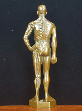 黄铜针灸铜仁铜像带骨骼经络人体穴位图中医药馆摆件诊所经络针灸