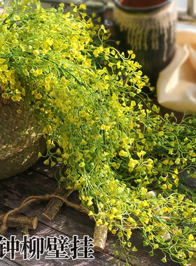 仿真金钟柳假花藤装饰植物墙面