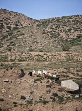 正宗北岳恒山原石恒山石敢当靠山石发财石风水石摆件镇宅招财石头