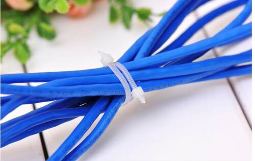 塑料自锁式尼龙扎带黑色白色塑料封条尼龙扎带扎线带线束扎线带 - 图3