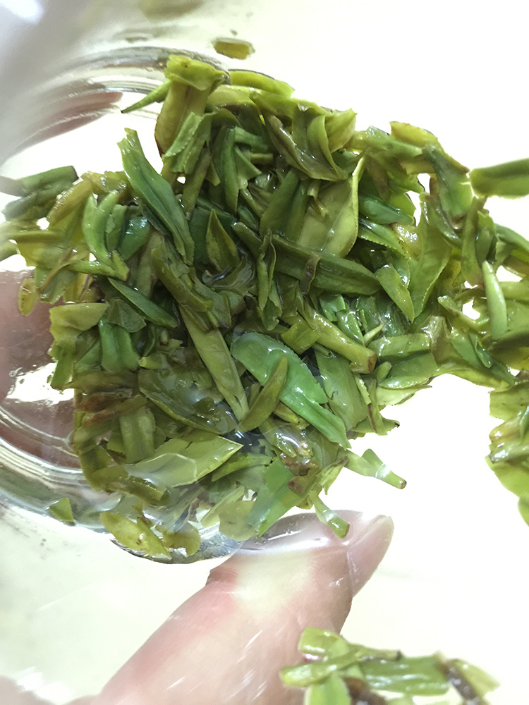 2024年新茶碎茶片茶心特级明前西湖茶场龙井茶新茶春茶43号茶500g - 图1