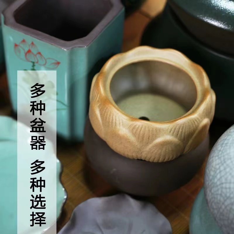 桌面创意陶瓷花盆阳台多肉粗陶透气小盆景花盆紫砂盆哥窑盆禅意盆,淘宝优惠券,粉丝福利购,淘宝优惠卷