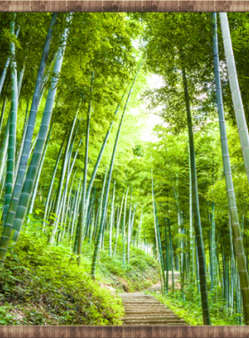 3d卧室仿真木框假窗户海景风景