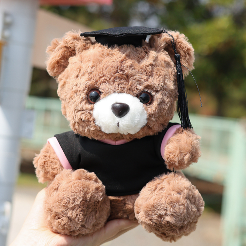 毕业礼物幼儿园全班批发有纪念意义小学大学硕士毕业小熊玩偶公仔 - 图2