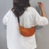 Mini bag for women 2026 new trendy versatile sports student shoulder messenger bag lightweight canvas dumpling bag