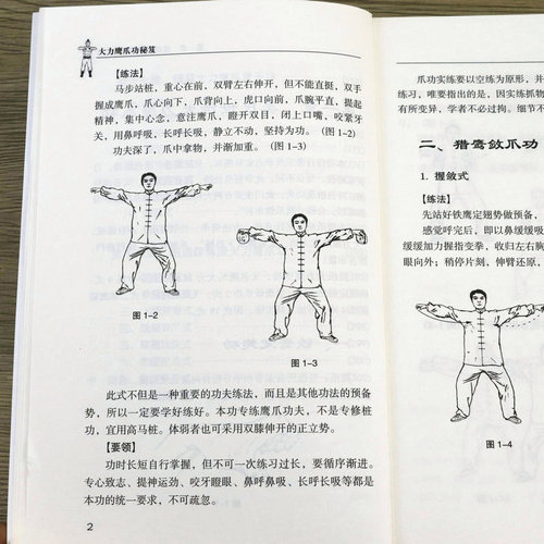 大力鹰爪功秘笈少林鹰派武术书籍秘传太乙游龙功古传武当武学功法九式吐纳养生法六合八法内功拳武术气功无极五行拳法身法健身养生 - 图2