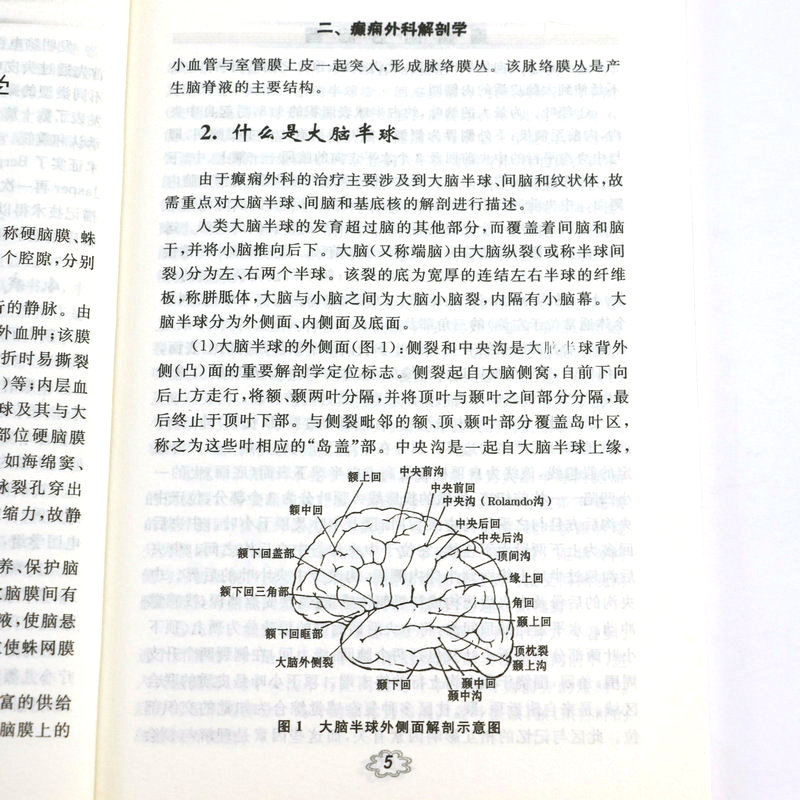 癫痫防治问答 刘学宽临床诊疗指南癫痫病分册病260个怎么办 癫痫证治书籍 - 图2