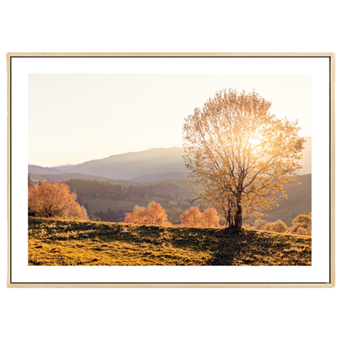 秋天树林装饰画客厅沙发背景墙餐厅卧室现代风景壁画北欧轻奢挂画 - 图3