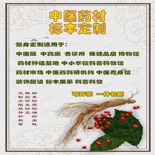 仿真中药材种子瓶标本模型博物馆医学院校中小学科普科教开票定制 - 图0