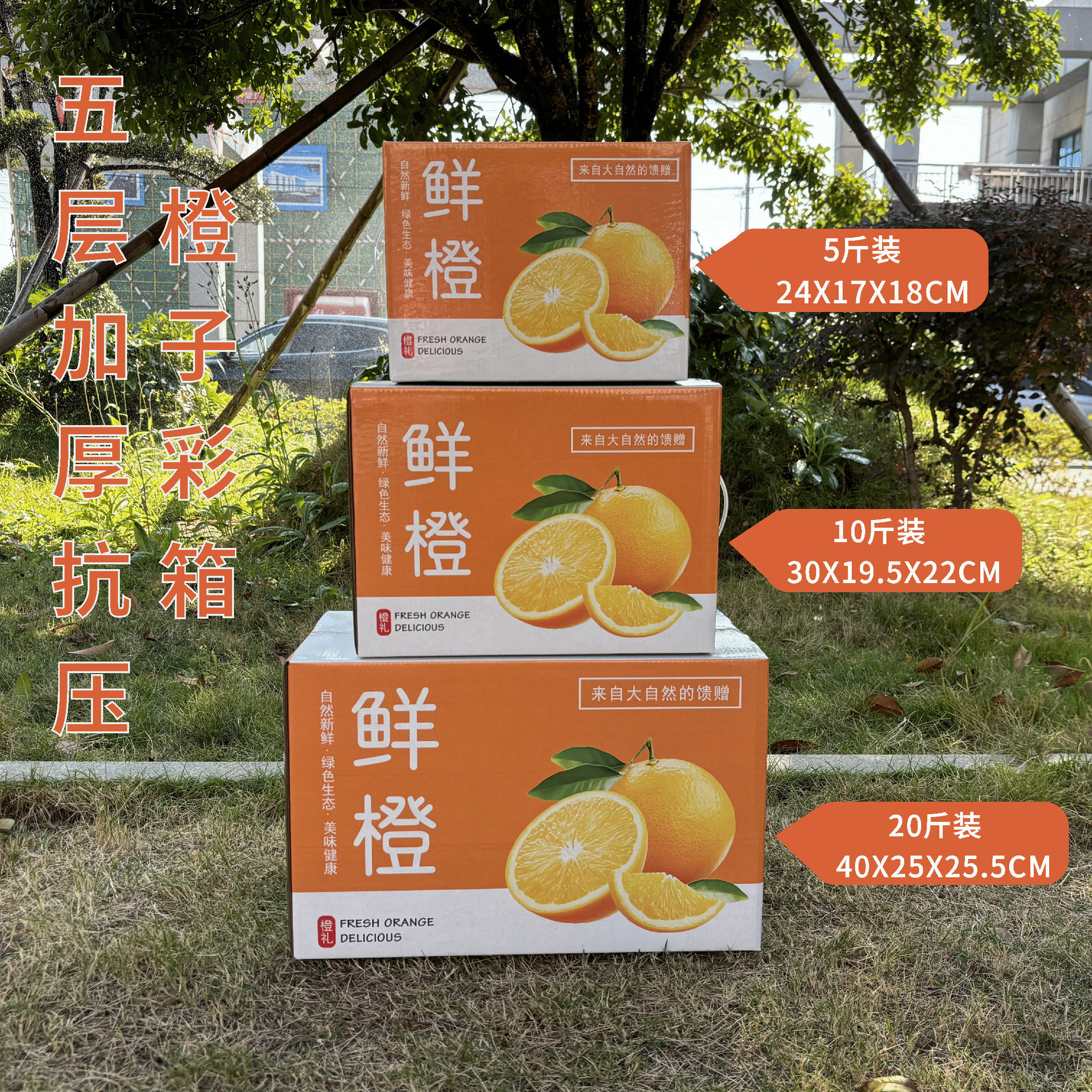 赣南脐橙箱彩箱礼盒5/10/20斤爱媛冰糖橙快递纸箱橙子包装箱定做,淘宝优惠券,粉丝福利购,淘宝优惠卷