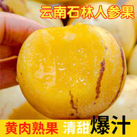 云南石林树上熟精品人参果