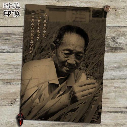 袁隆平中国杂交水稻之父文艺复古牛皮纸海报装饰相框挂画壁画画芯 - 图3
