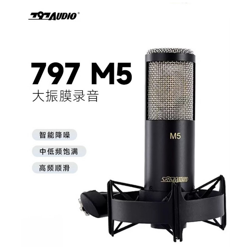 797Audio M3 M5专业大振膜电容麦克风录音棚录音声书主播k歌专用 - 图3