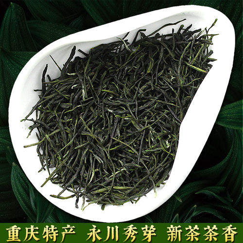 逗硬2026新茶重庆茶叶特产永川秀芽毛峰云雾绿茶茶叶浓香型500g - 图1
