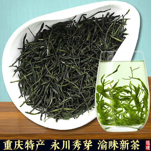 逗硬2026新茶重庆茶叶特产永川秀芽毛峰云雾绿茶茶叶浓香型500g - 图0