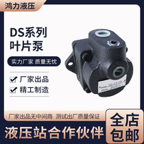 Taiwan Hongli Equipment DS-11 12 13 14-FR Hydraulic station Electric cast iron low pressure vane oil pump