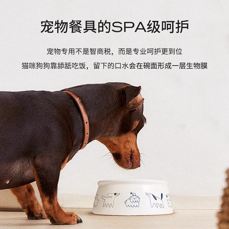 amopetric阿默海盐宠物洗碗慕斯洗碗液餐具清洗剂狗狗碗猫咪清洁,淘宝优惠券,粉丝福利购,淘宝优惠卷