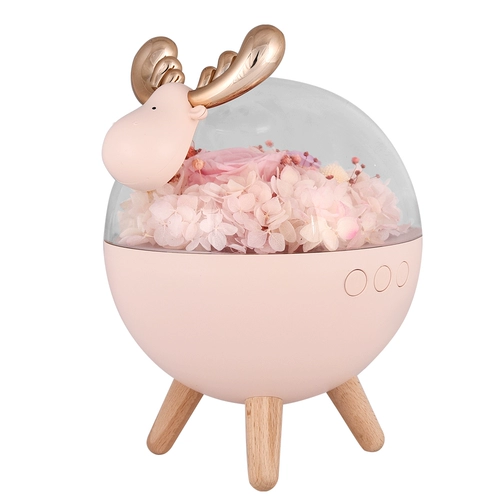 Eternal Life Flower Bluetooth -динамик творческий сухой цветок настольный аудио дает подругам удача брак брак сюрприз подарка на день рождения подарок